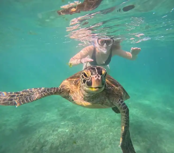 Snorkeling Adventures